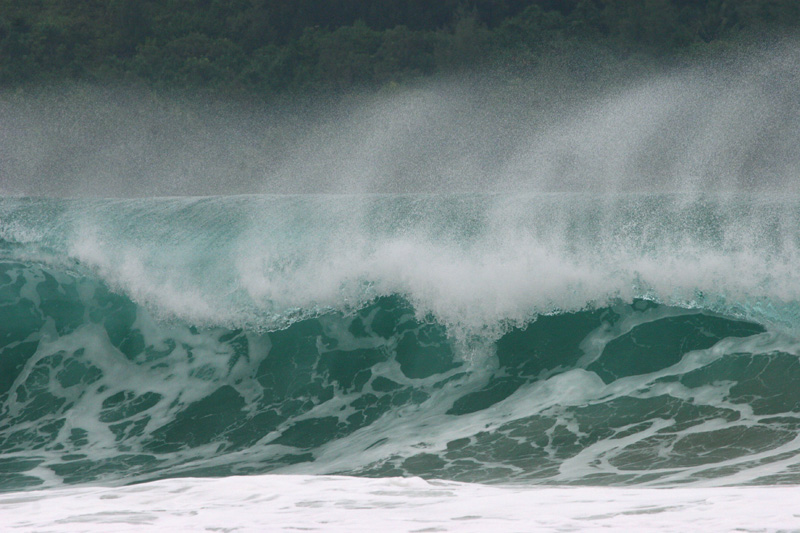 Ocean Spray