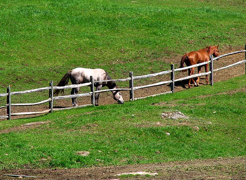 Huntington Farms