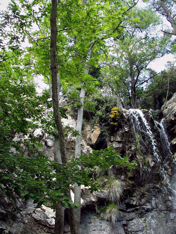 Waterfall