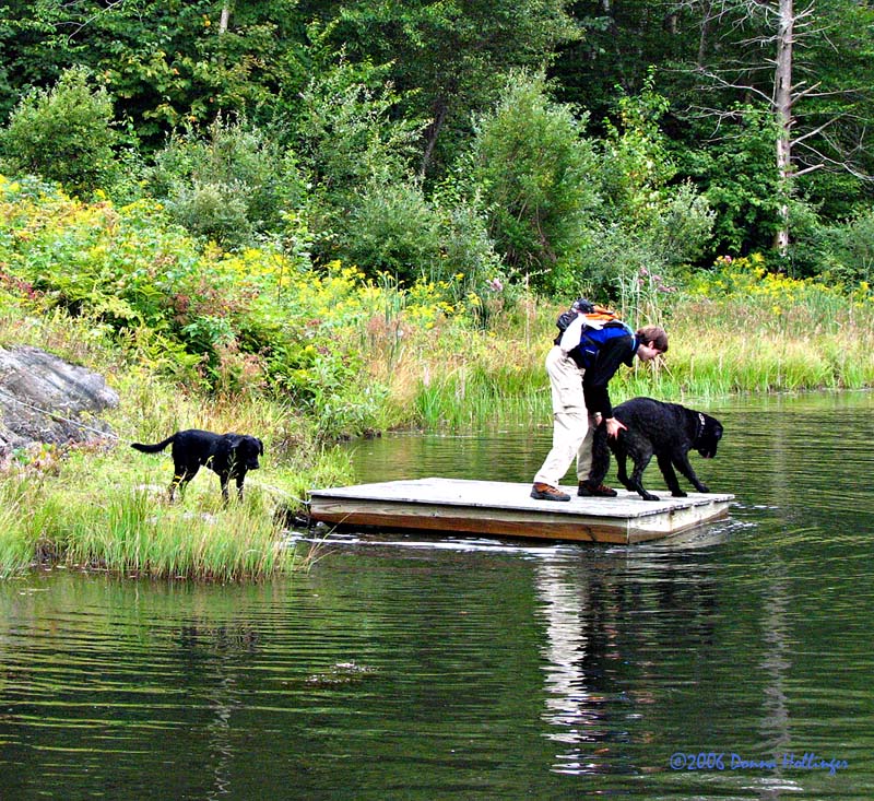 Lexie, Max and Romeo at Dicks Pond