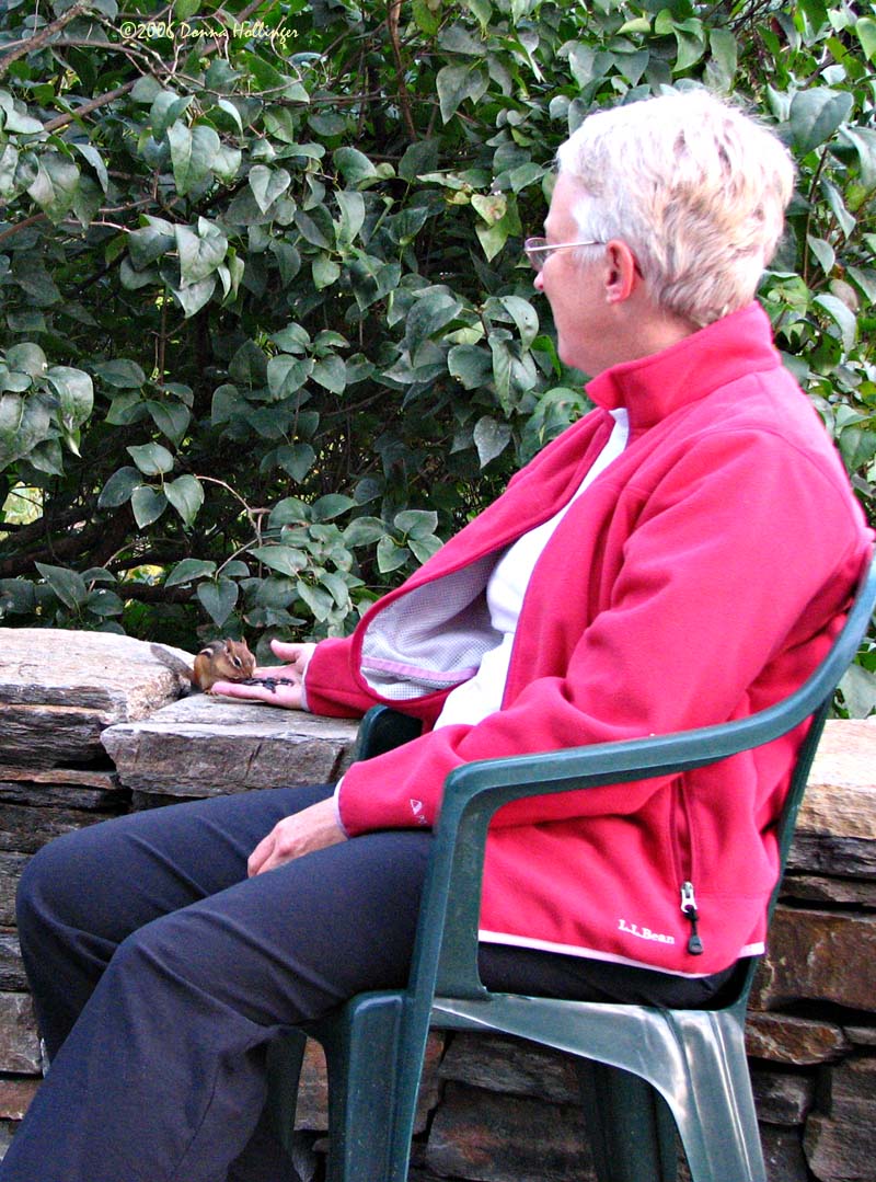 Jan feeding our chipmunk