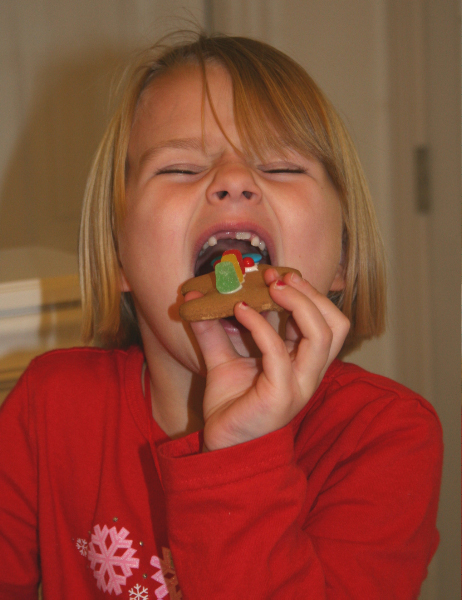 goodbye gingerbread man........