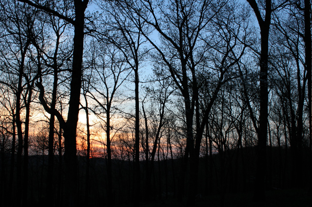 Night, night