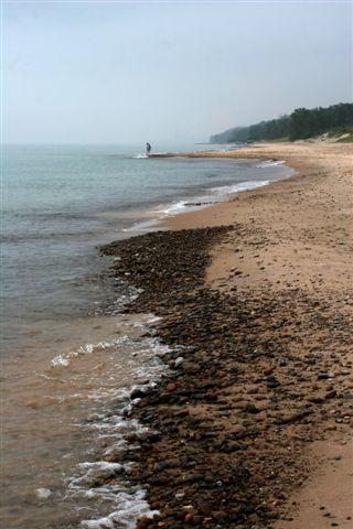 beach comber.jpg