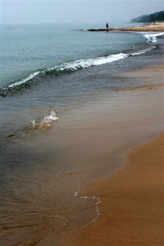 hazy beach comber.jpg