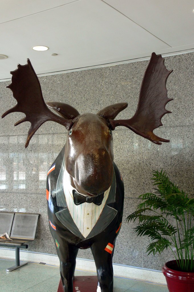 The Moose at Toronto Convention Center