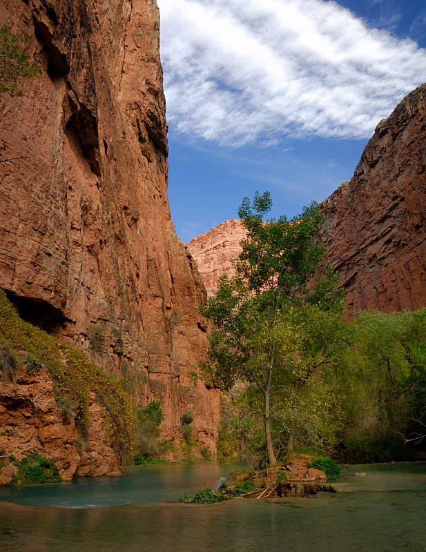 Havasu creek