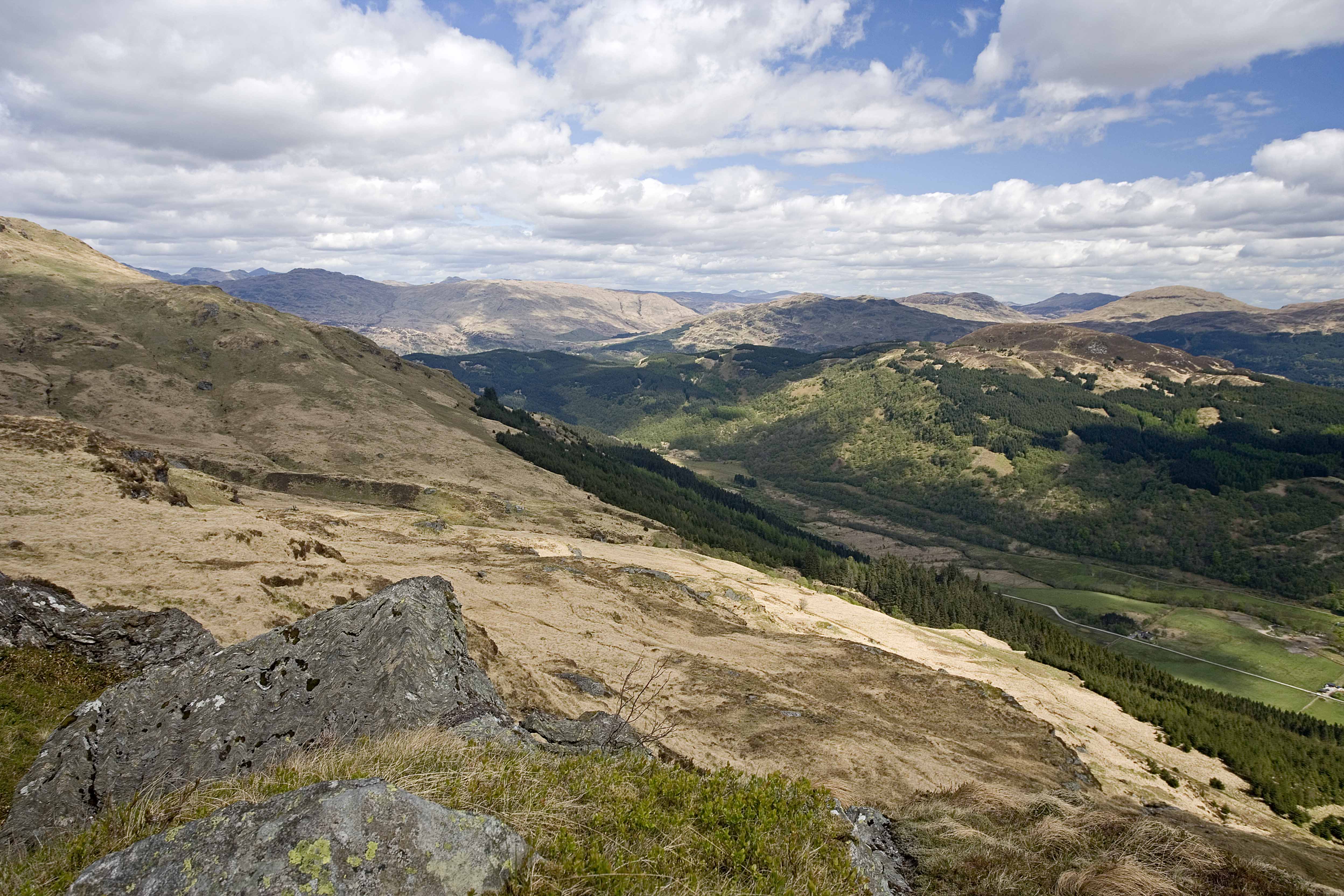 Looking north up Glen Loin