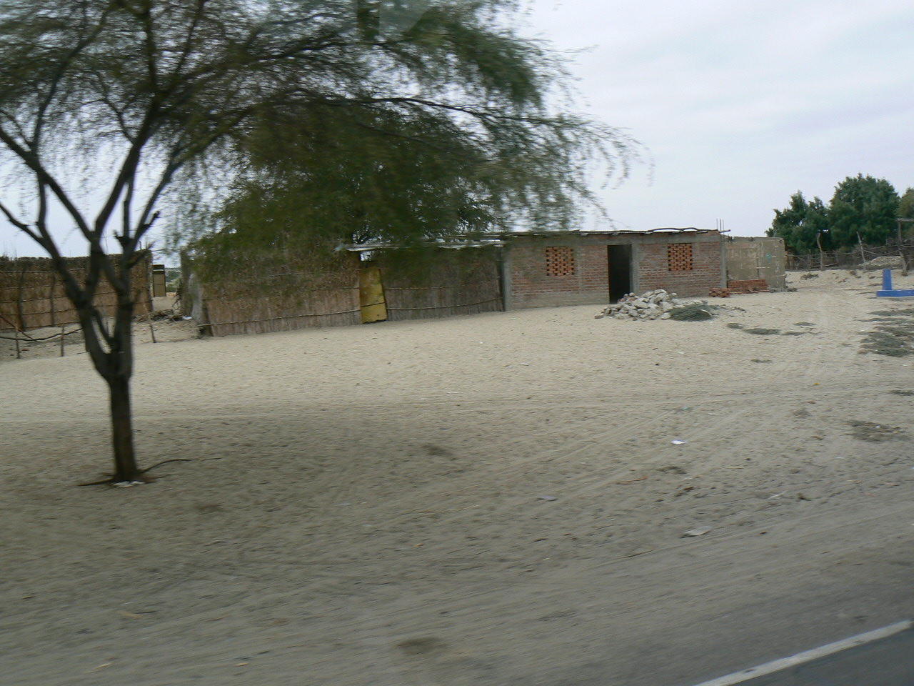 P1030469.JPG