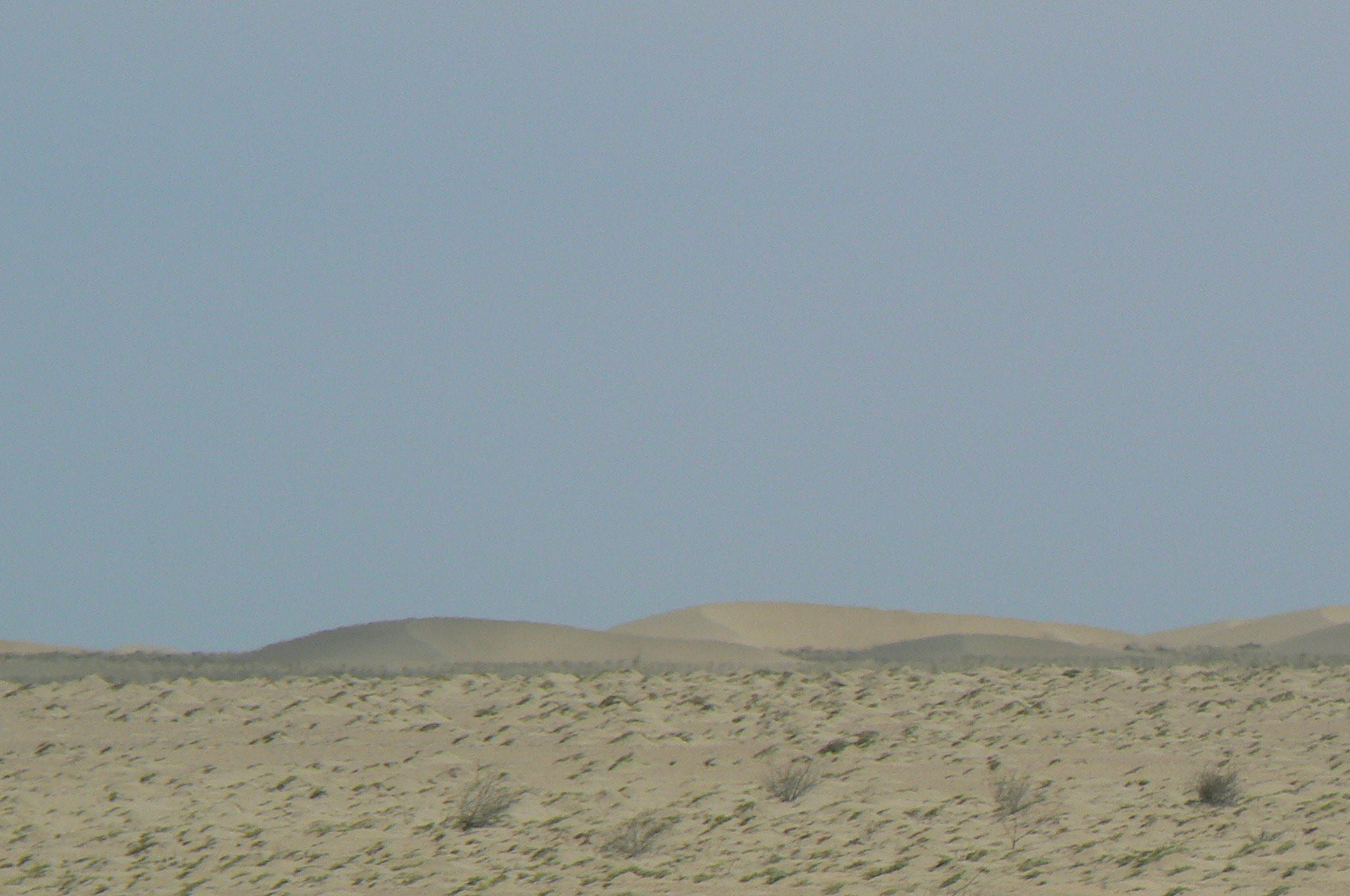 P1030490.JPG