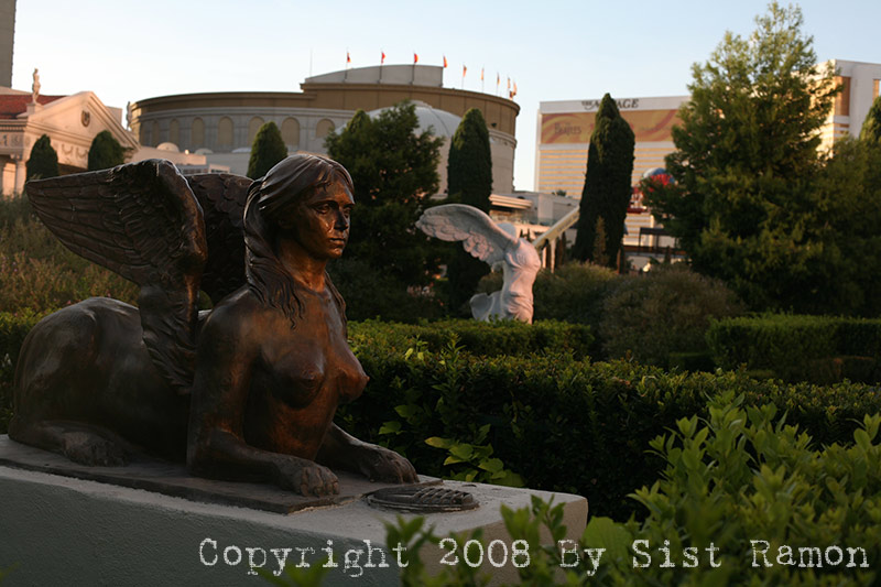 IMG_7795.jpg