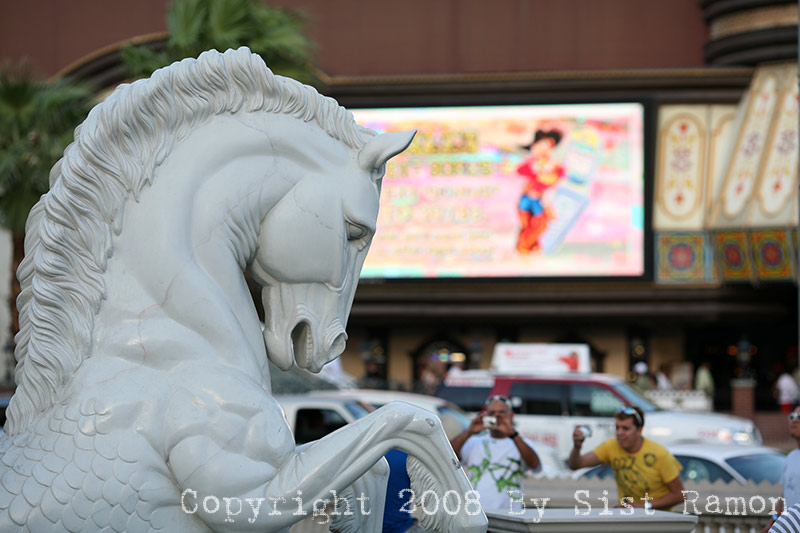 IMG_7796.jpg