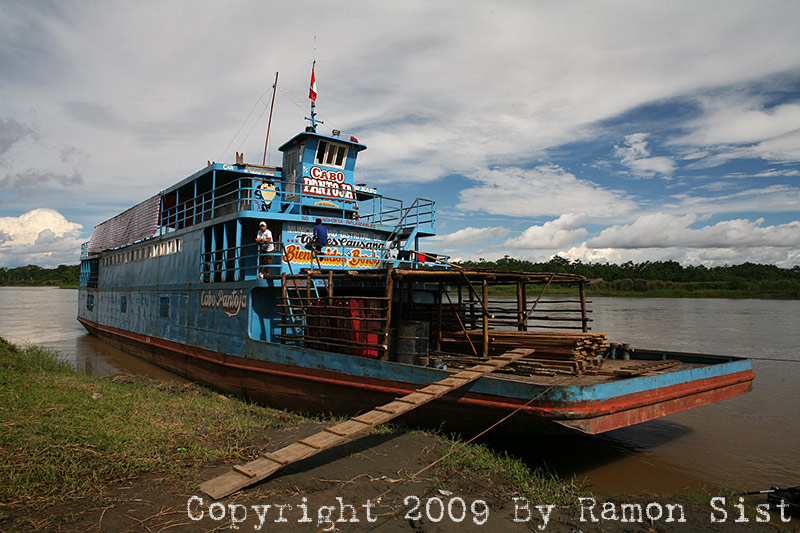 IMG_9851.jpg