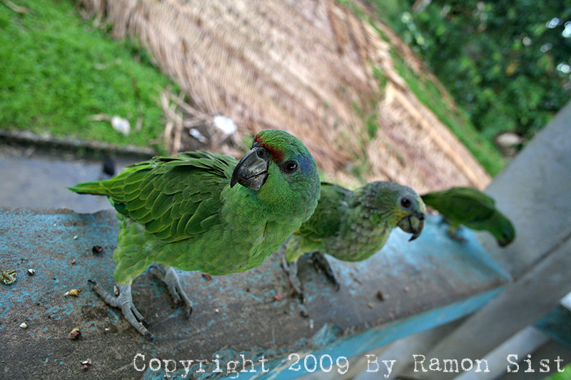 IMG_9872.jpg