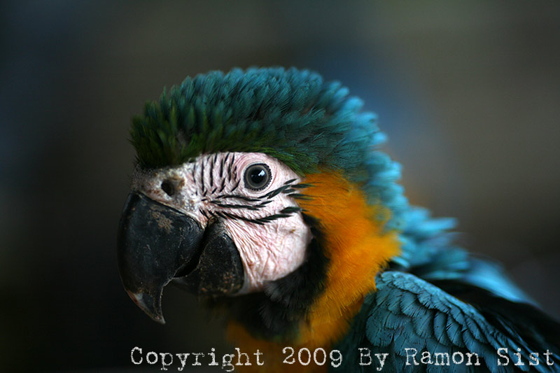 IMG_9881.jpg