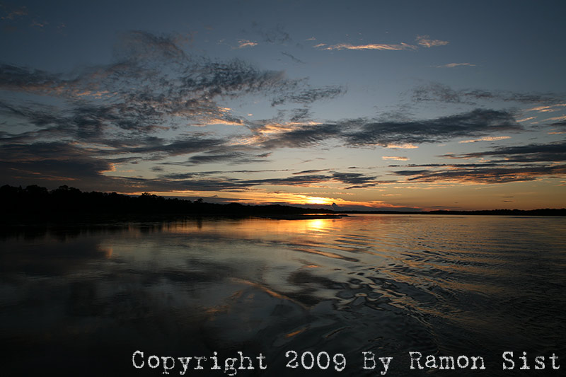 IMG_9907.jpg