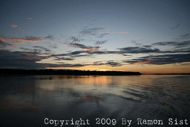 IMG_9916.jpg