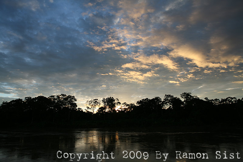 IMG_0030.jpg