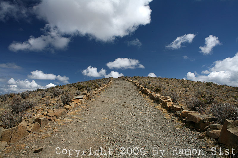 IMG_2566.jpg