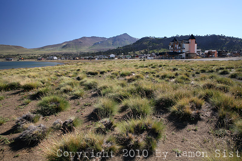 IMG_3659.jpg