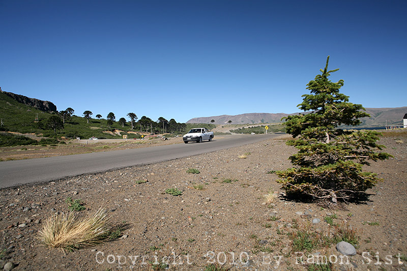 IMG_3661.jpg