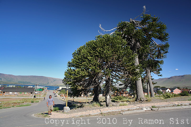 IMG_3665.jpg