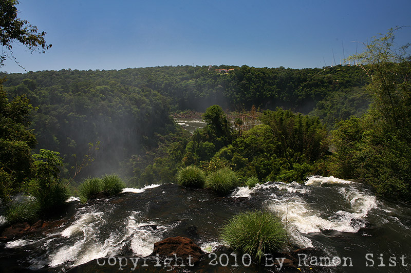 IMG_4755.jpg