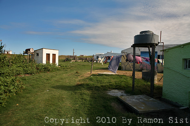 IMG_4789.jpg