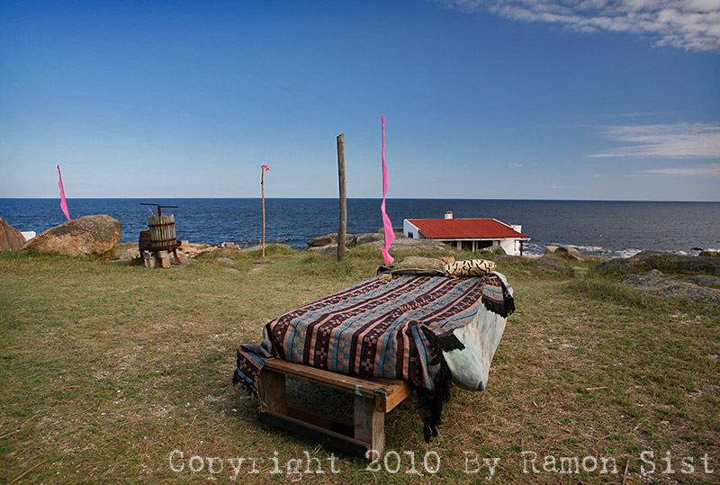 IMG_4817.jpg