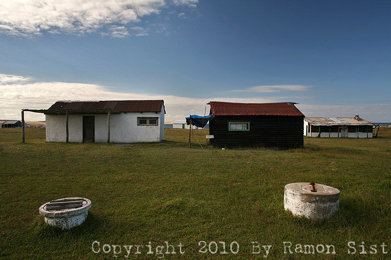 IMG_4820.jpg
