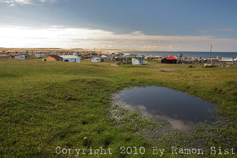 IMG_4826.jpg