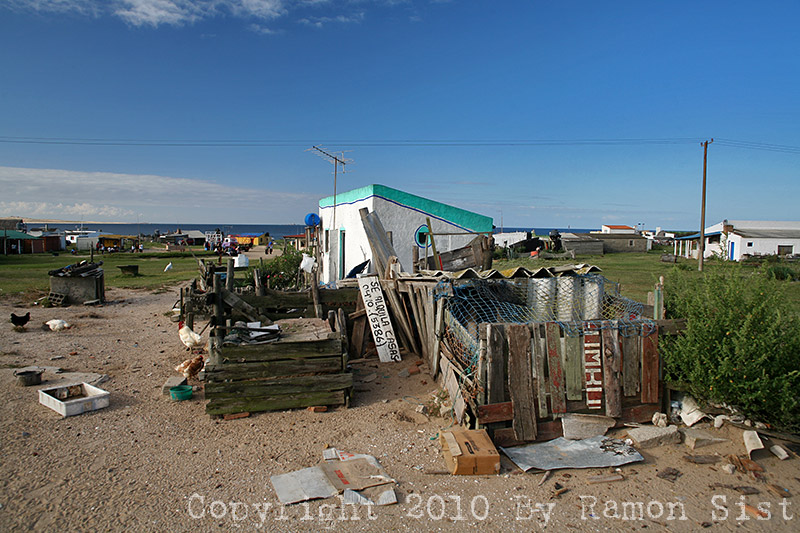 IMG_4827.jpg
