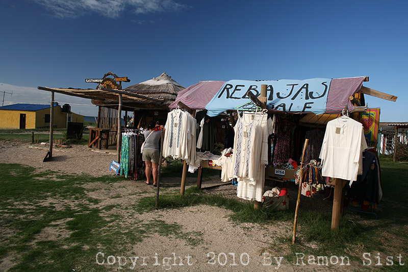 IMG_4829.jpg