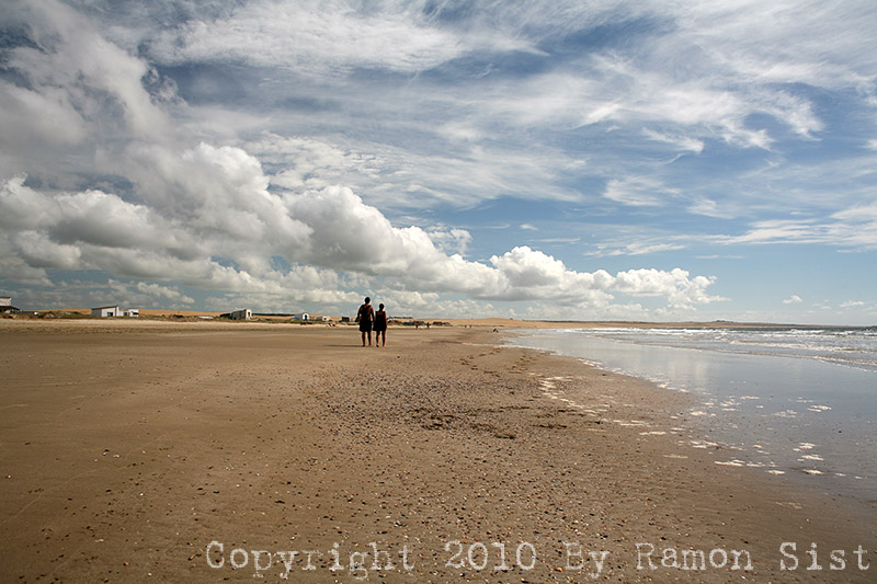 IMG_4852.jpg