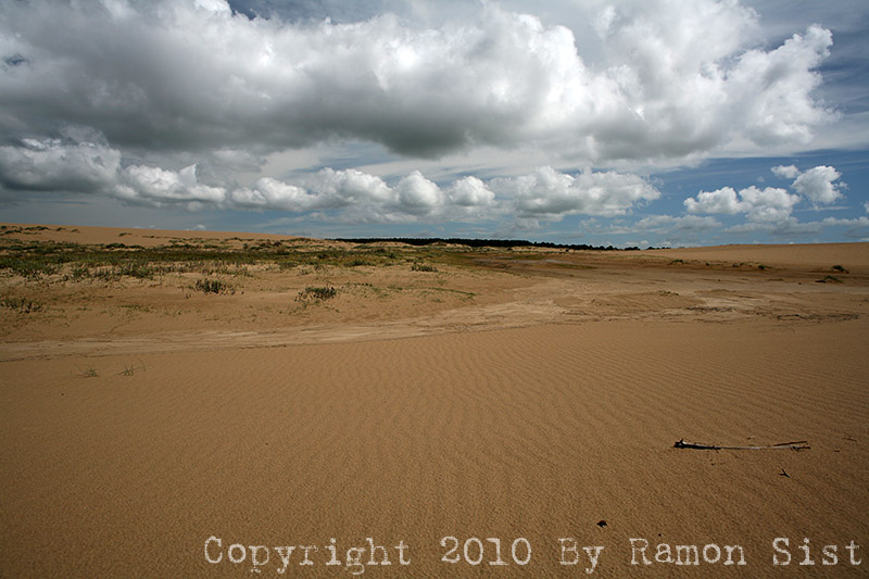 IMG_4867.jpg