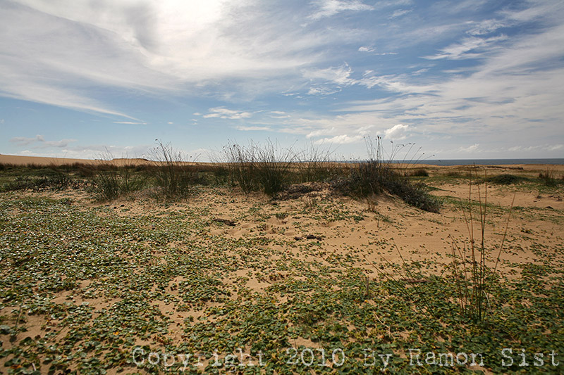 IMG_4875.jpg