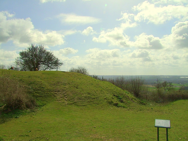 Thurnham Castle : the motte(ringwork on the plan) from the bailey