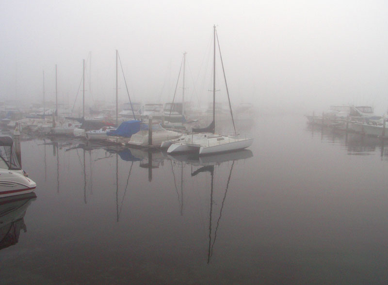 Foggy Boats