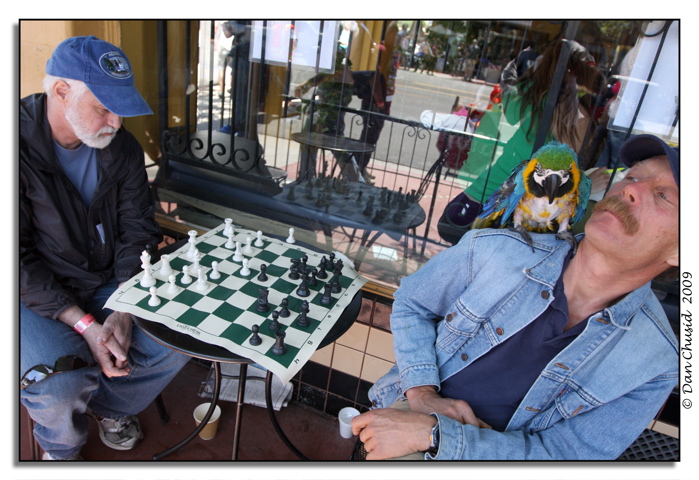 The Chess Match