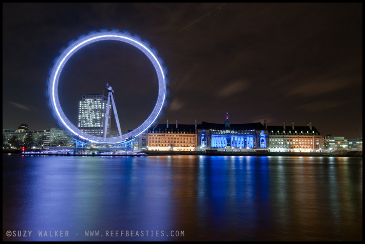 London Eye