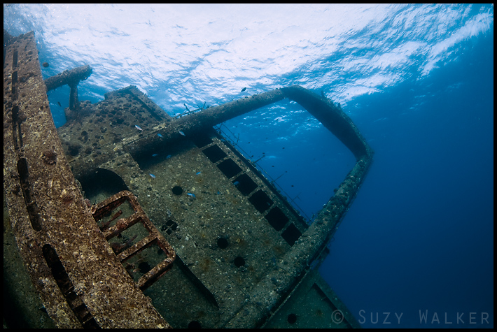 Ghiannis D wreck 2