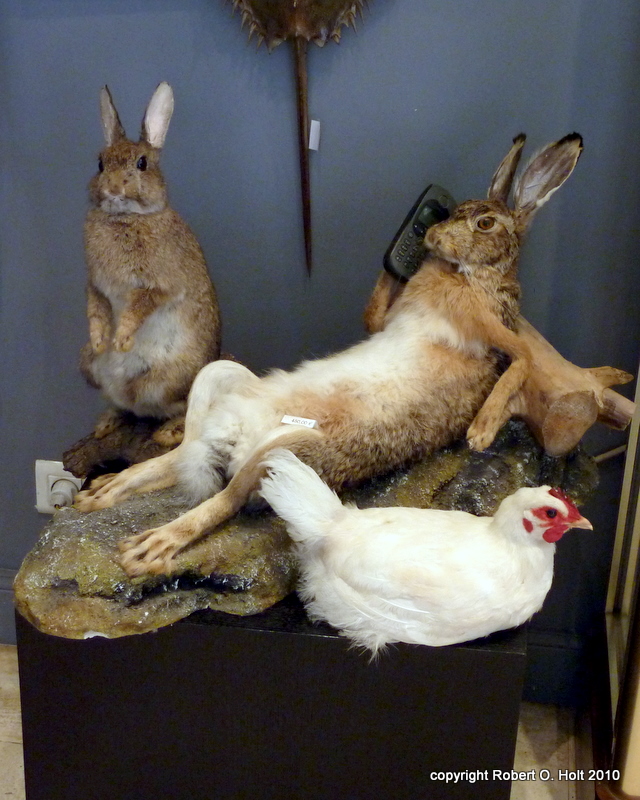 Cell Phone Rabbit at taxidermy shop in Paris