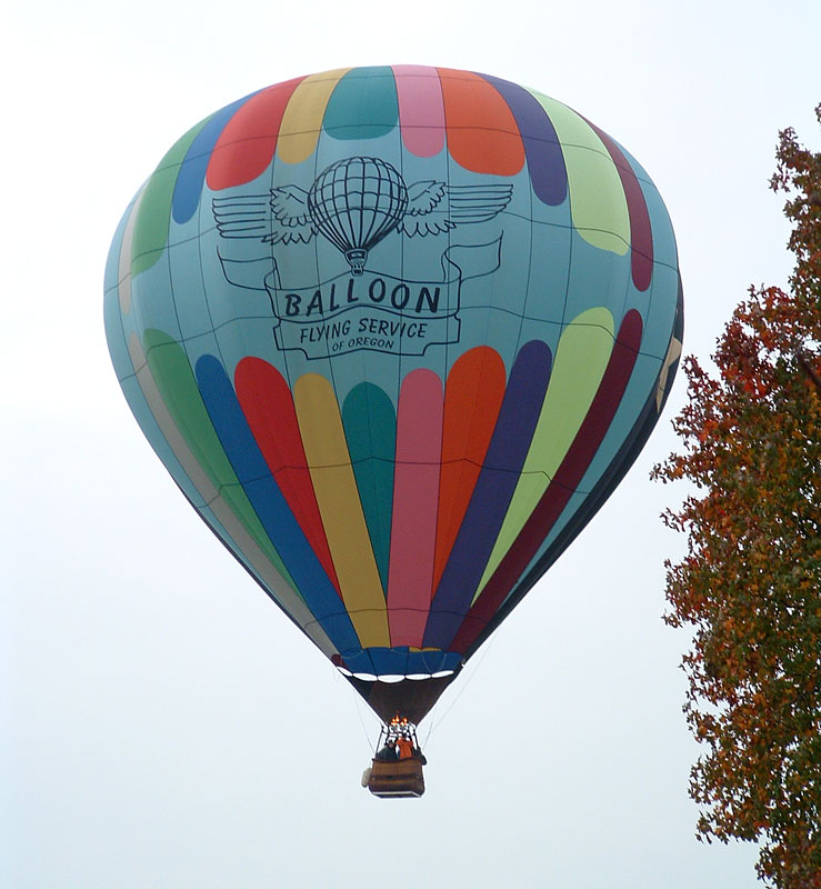 2010_1124_093046AA.jpg