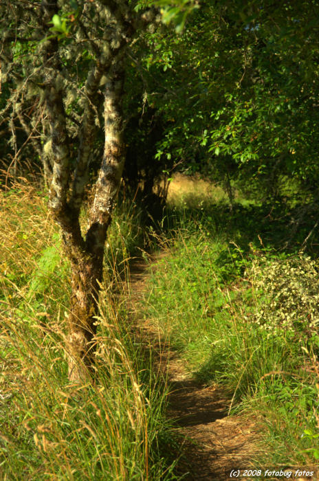 D3-071808-108.jpg