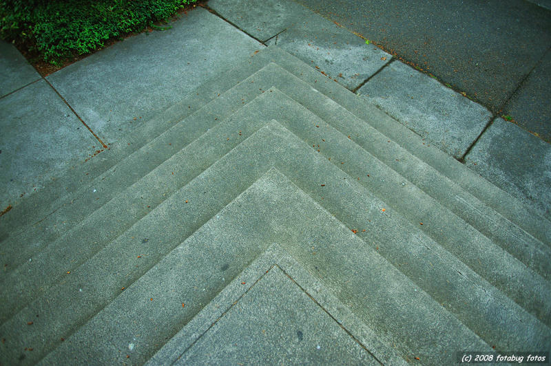 D3-071108-012.jpg