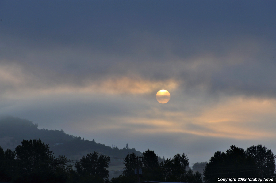 Early morning sun