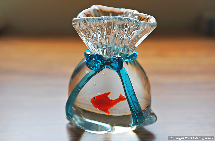 Carols Fishy Little Vase