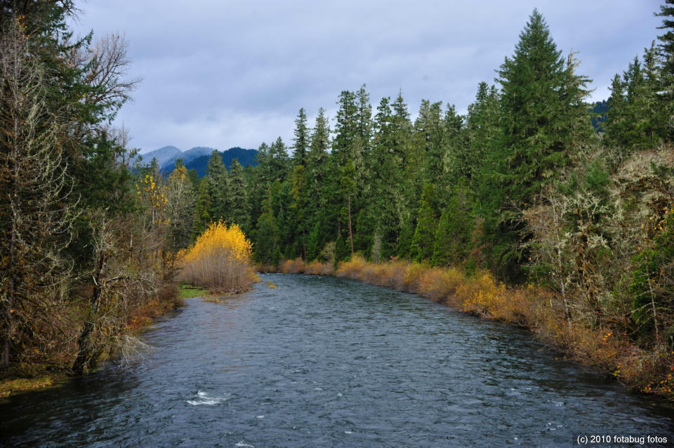 The Magnificent McKenzie River