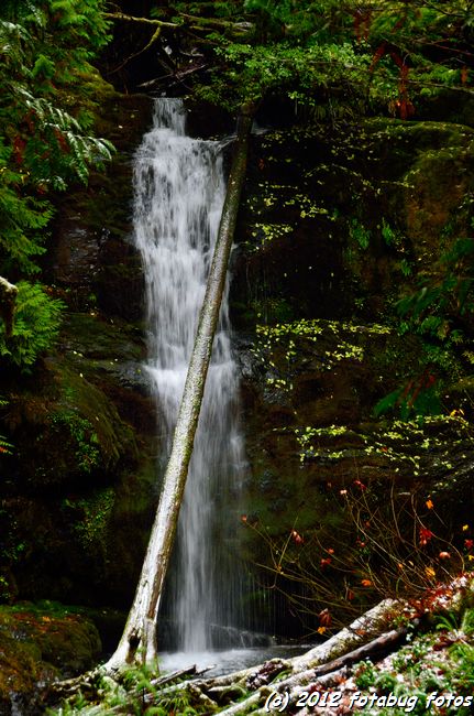 D7K-110912-333.JPG