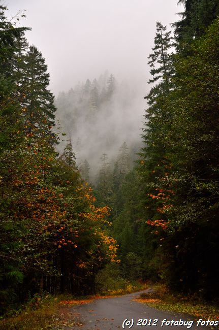 Join us on a hike to Parker Falls - See link below